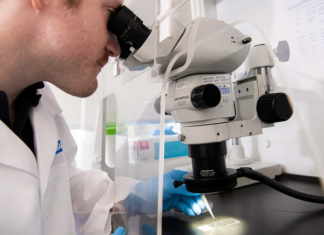 Why an Asbestos Testing Service Provides Peace of Mind for Homeowners Asbestos Testing Service